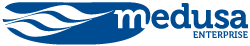 Medusa Enterprise Logo